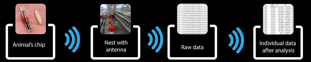 Schéma RFID EN